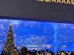 -成都浩海立方海洋公园