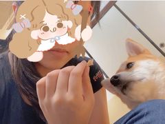 -逗柴咖啡屋·狗咖猫咖宠物桌游