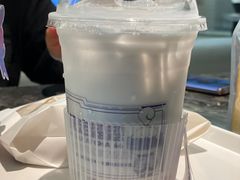 -TD66高山铁皮石斛养生茶饮