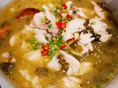 -汤去三面(骆驼店)