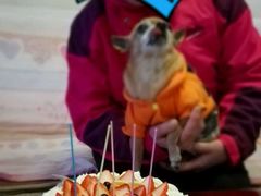 -味多美蛋糕(看丹桥店)