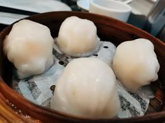 添运来虾饺皇-添运来(茶园奥园广场店)