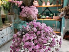 -南瓜谷塔罗(和义店)