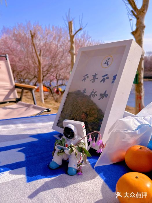 坝河休闲公园图片