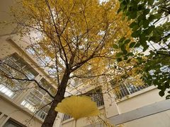 -天津市育贤中学