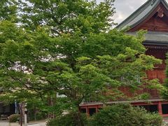 -医王山·飞騨国分寺