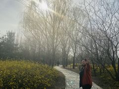 -廊坊市自然公园
