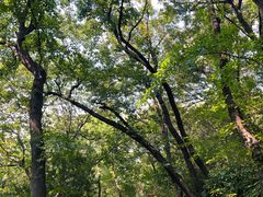 -宝岩生态观光园