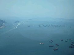 -天龙轩(香港丽思卡尔顿酒店)