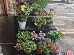 -简小舍·民间手艺菜(武昌江滩店)