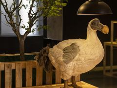 -现代汽车文化中心 Hyundai Motorstudio Beijing