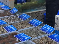 -双井轩(双井店)