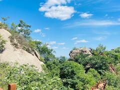 -大岭沟猕猴桃谷风景区