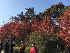 -香山公园-东宫门售票处