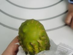 -喜茶(迪士尼小镇DP店)