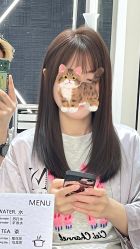 -蚂蚁造型俱乐部