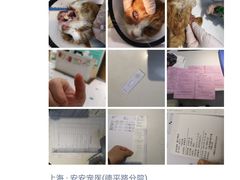 -安安宠物医院(佳林路分院)