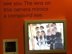 -墨尔本博物馆(Melbourne Museum)