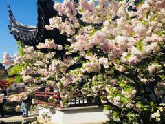 -常熟方塔园