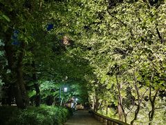 -宝石山
