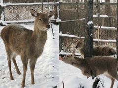 -北极村旅游风景区