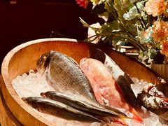 -三川·十酒Izakaya(南昌路店)