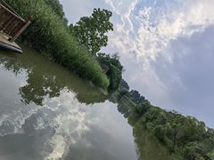 -同里国家湿地公园
