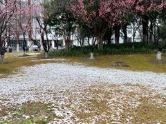 -杭州师范大学(下沙校区)