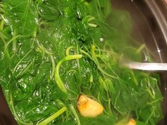 泉水时蔬-红城阁·上海味道(四平路店)