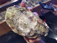 -月下料理(楷林IFC店)