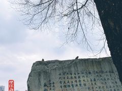 -望江楼公园