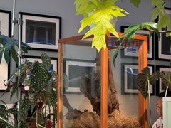 -一尺花园(安和花园店)