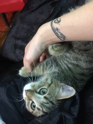 -游刃刺青TATTOO纹身工作室