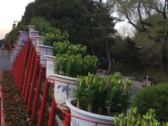 -北陵公园