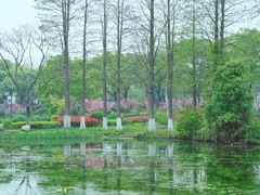 -金银湖国家城市湿地公园