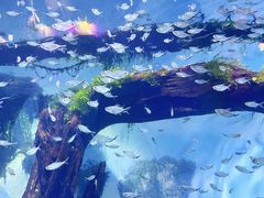 -南昌融创海世界