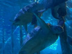 -太平洋海底世界