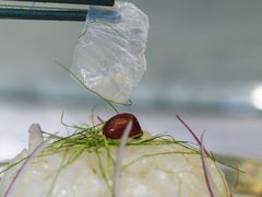 -叶氏大快活酒楼·佛山老字号