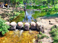 -长白岛森林公园