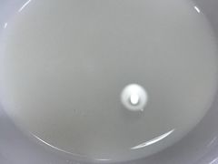 -天一沾水肥肠(科园一街店)