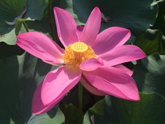 -北京宽沟会议中心