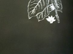 -星巴克(兰州国芳百货店)