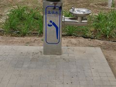 -大兴滨河森林公园