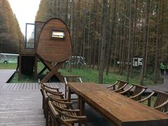 -黄海国家森林公园