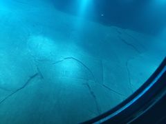 -白鹤梁水下博物馆