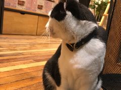 -猫的天空之城概念书店(杭州南宋御街店)