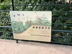-九龙公园