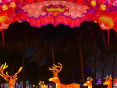 -欢乐海岸椰林沙滩-2025湾区超级灯会