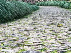 -沧浪亭