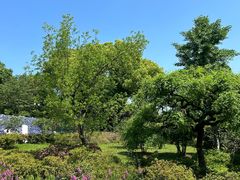 -苏州上方山国家森林公园